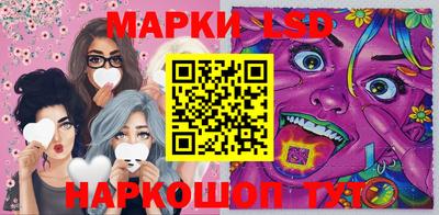 a pvp Новодвинск