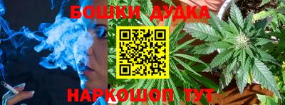 a pvp Новодвинск