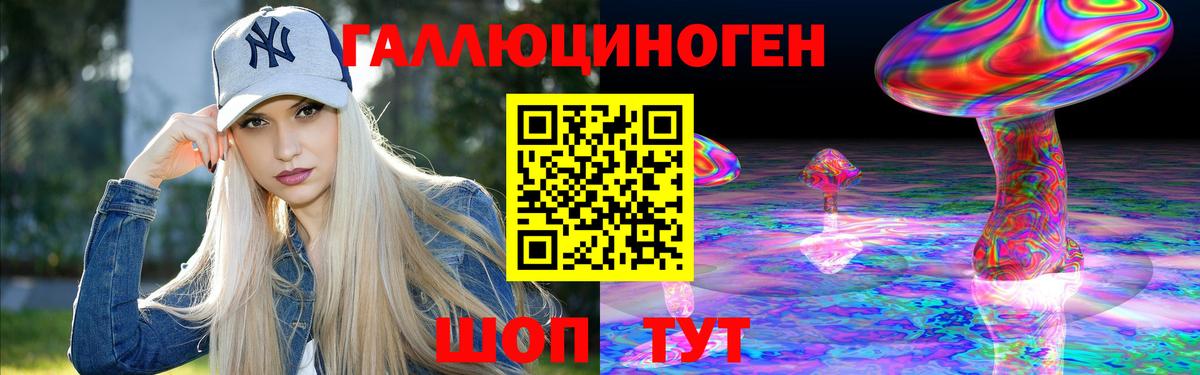 Тихвин  Псилоцибиновые грибы Psilocybe  Вход с VPN 